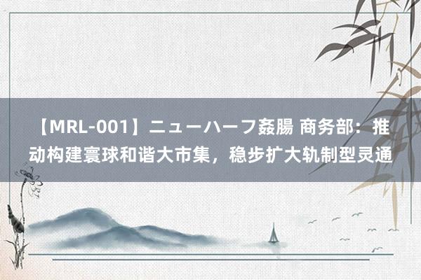 【MRL-001】ニューハーフ姦腸 商务部：推动构建寰球和谐大市集，稳步扩大轨制型灵通