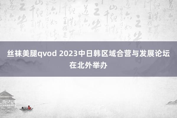 丝袜美腿qvod 2023中日韩区域合营与发展论坛在北外举办